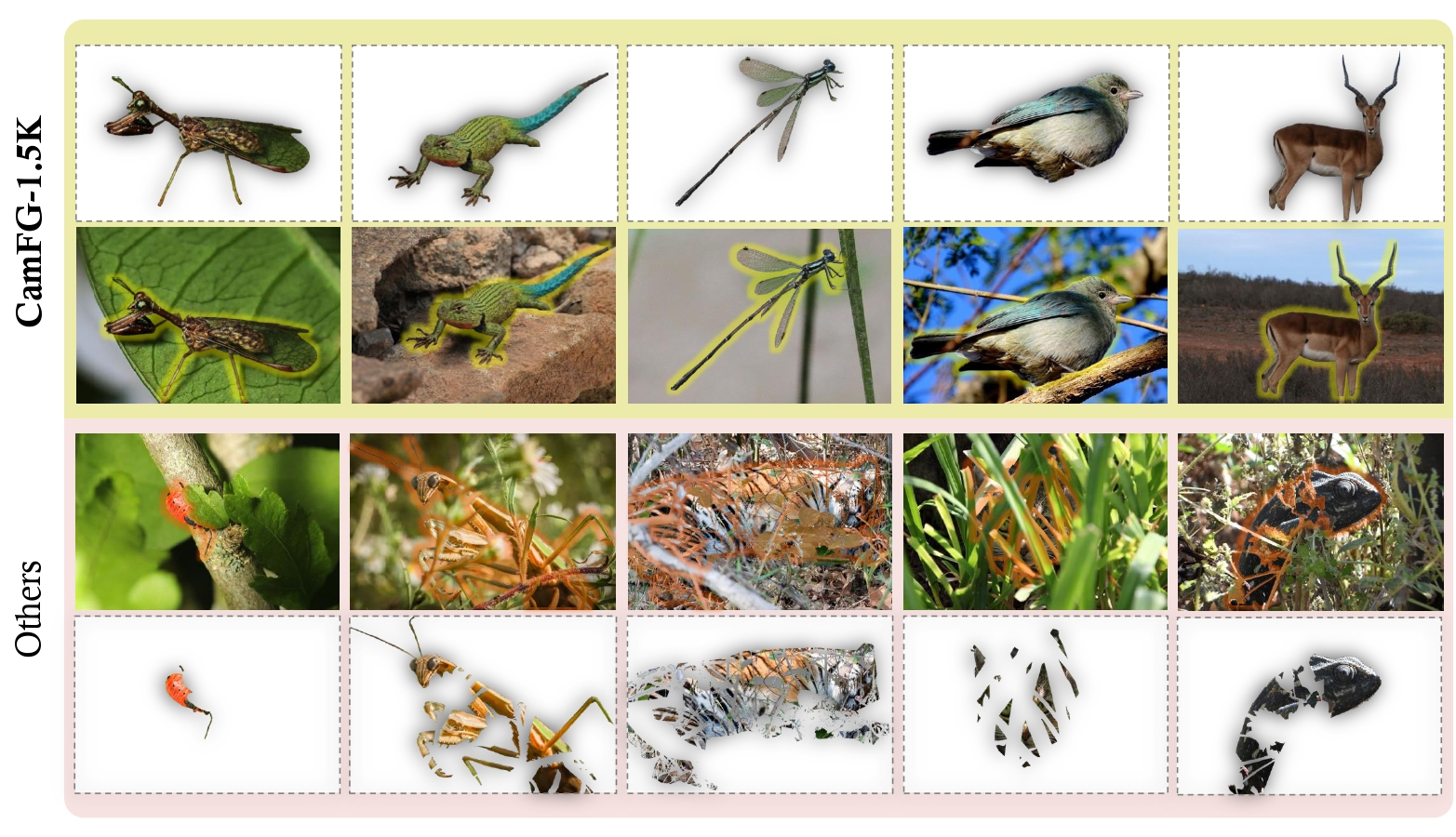 CamFG-1.5K vs existing camouflage datasets: image quality comparison